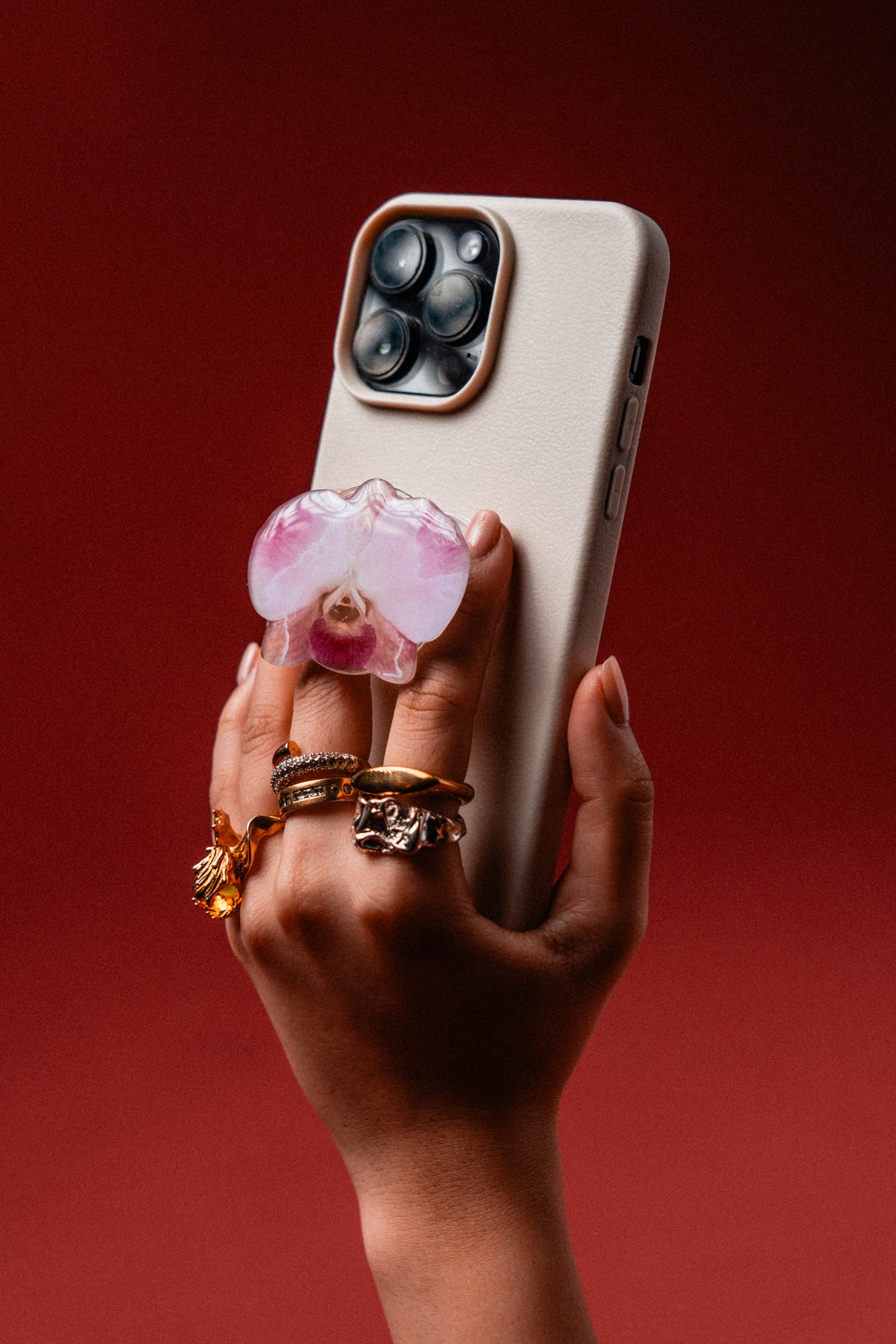 Orchid iv: The pop socket