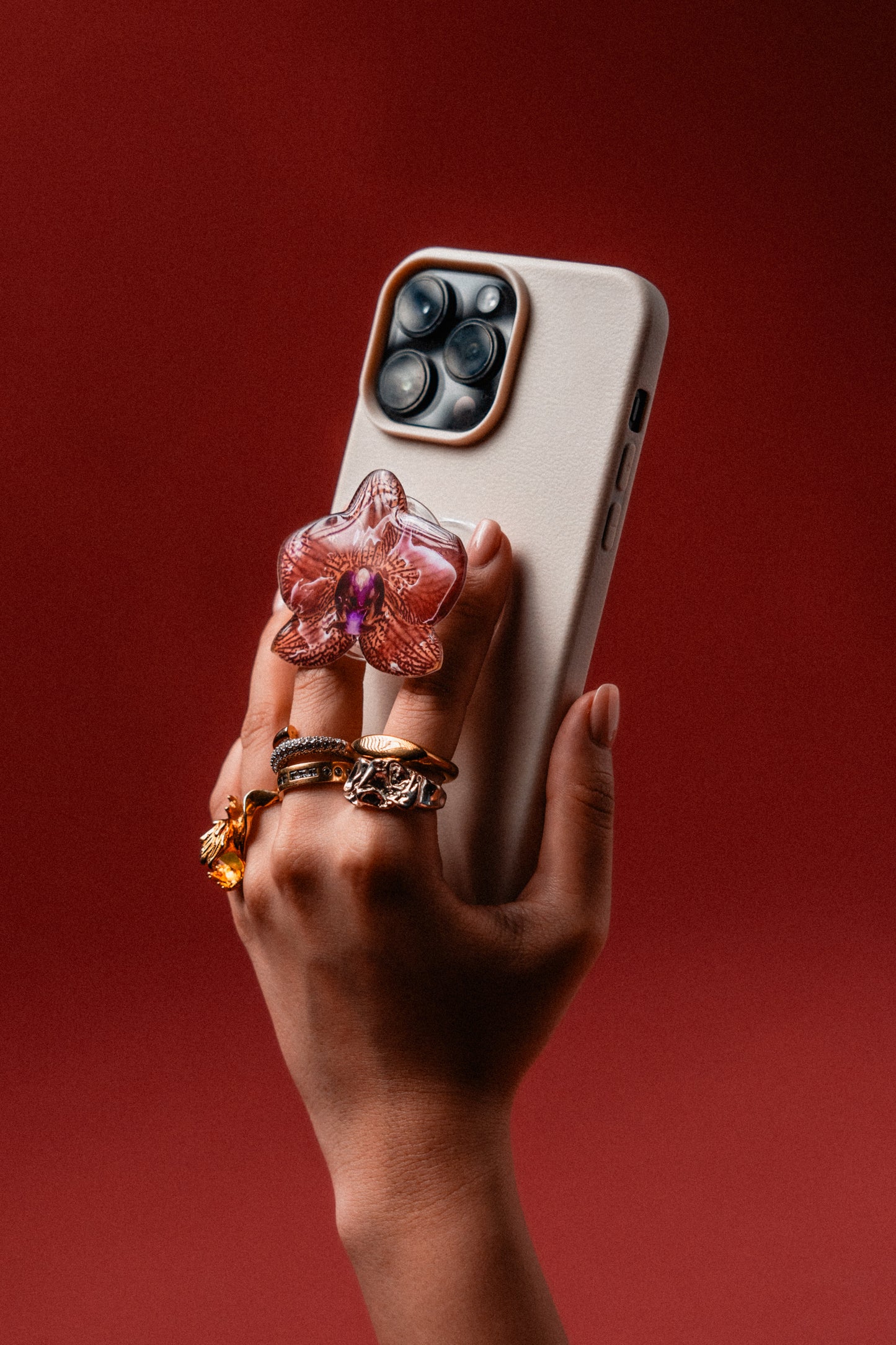 Orchid iii: The pop socket