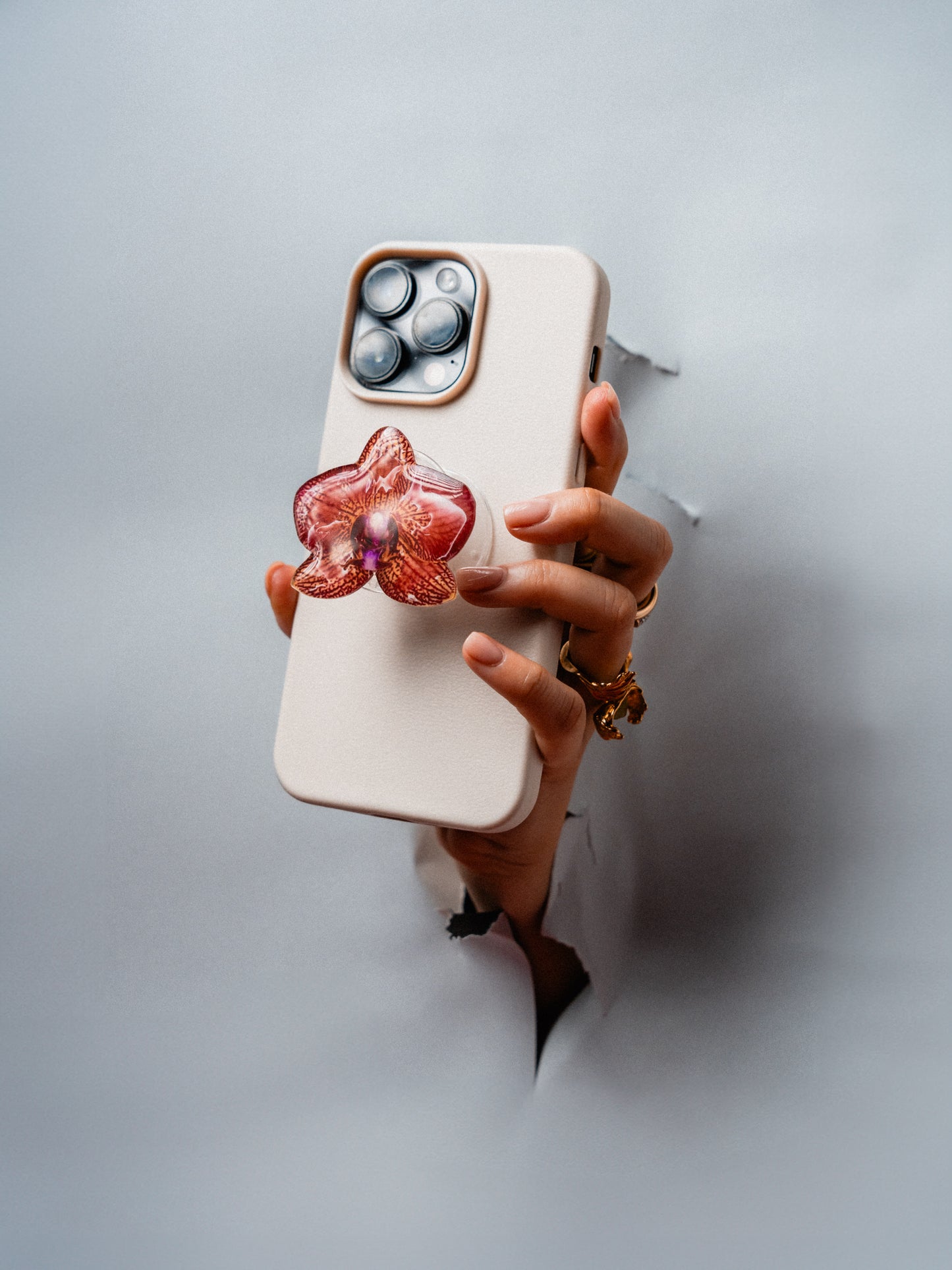 Orchid iii: The pop socket