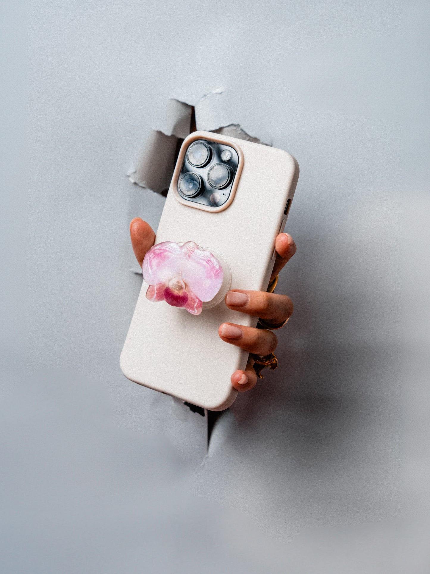 Orchid iv: The pop socket