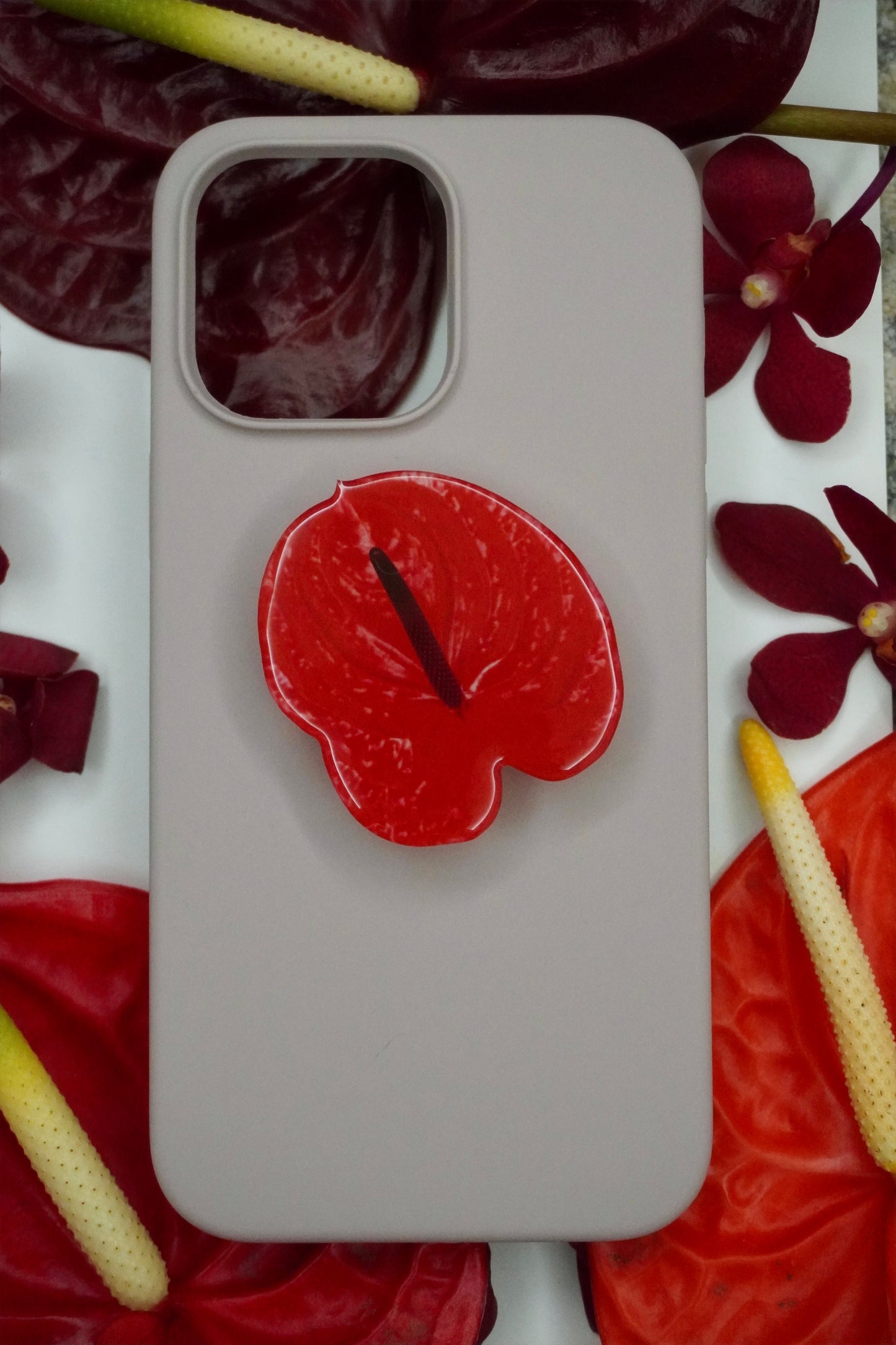 Anthurium: The pop socket